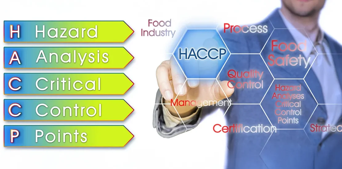 HACCP Certification in UAE