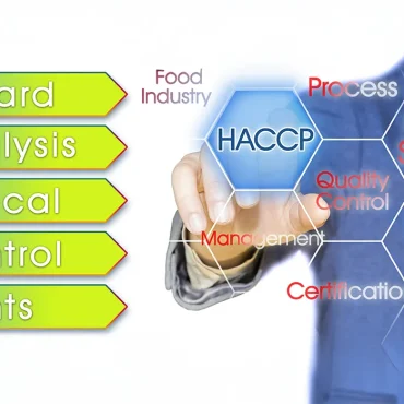 HACCP Certification in UAE