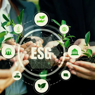 ISO Consultancy Services in Achieving Sustainability and ESG Goals
